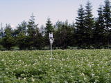 小清水町