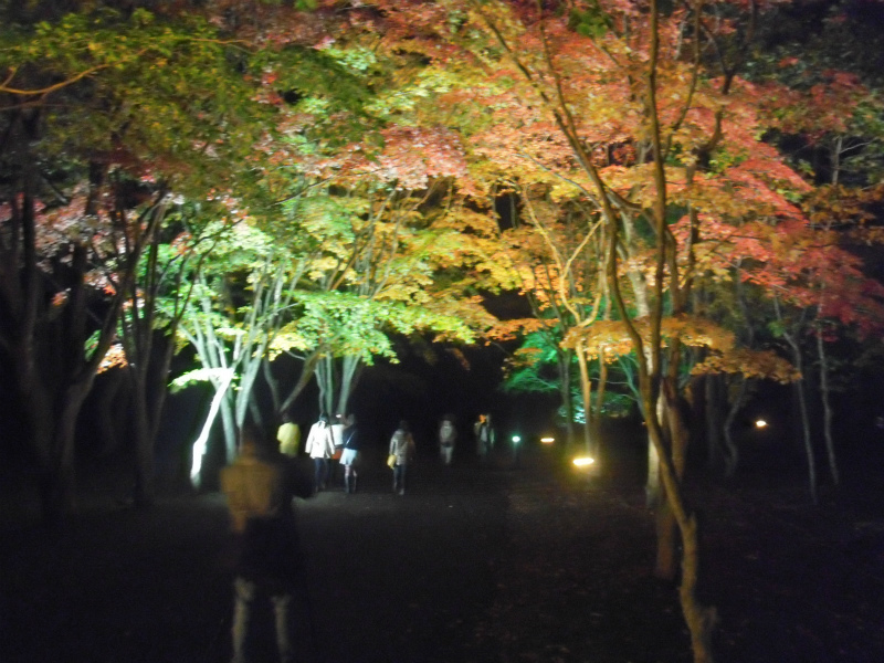 香雪園の紅葉