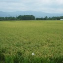 北斗市の田園地帯