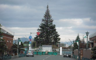 クリスマスツリー到着