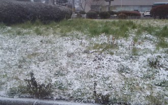 うっすらと雪が