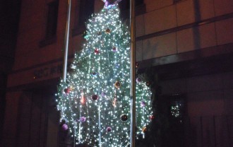 SEC本社前のクリスマスツリー