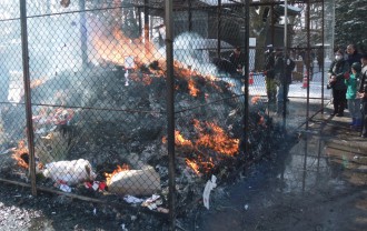 函館亀田八幡宮　どんど焼き