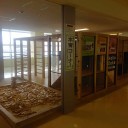函館空港「木育コーナー」