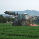 亀田中野町・畑の中のトラクター
