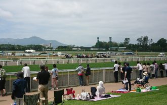 函館競馬場2017